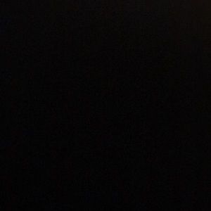 Meet your Posher, Gus